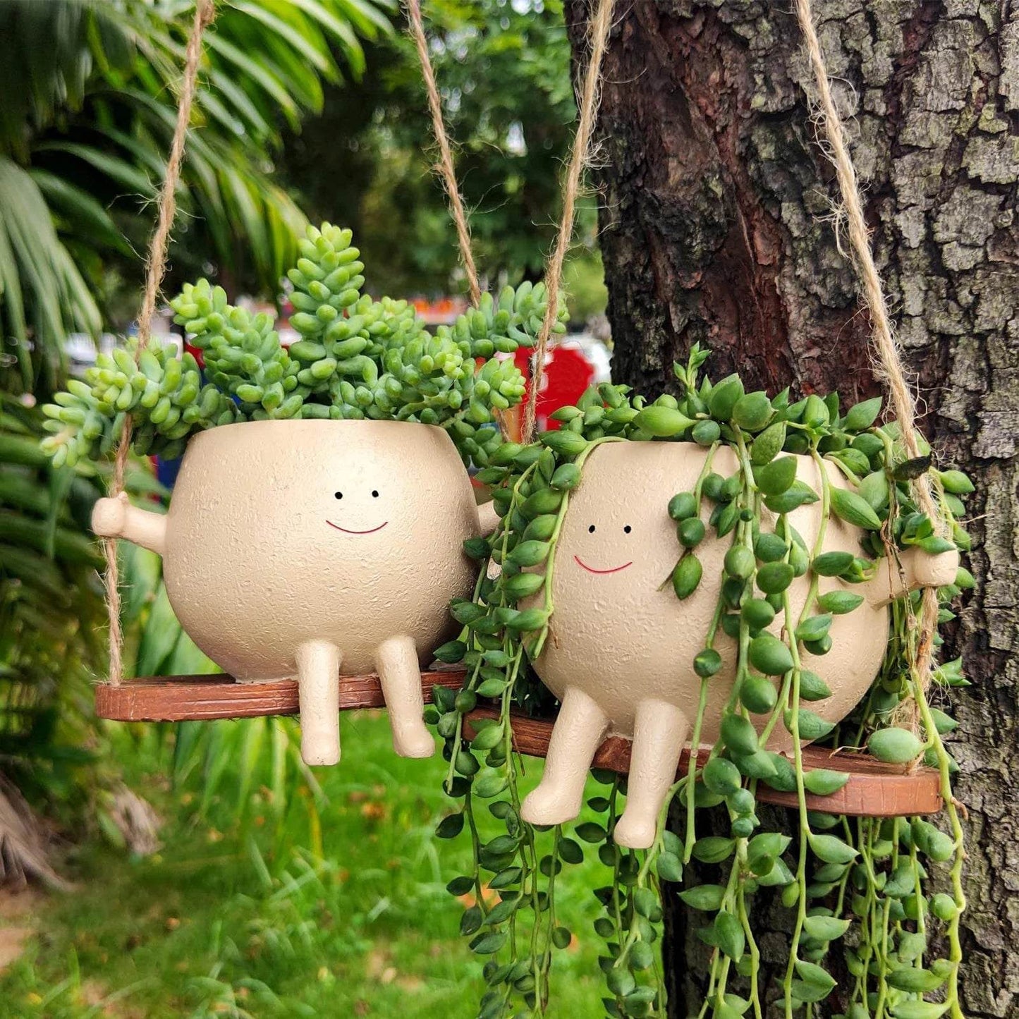 Swinging Flower Pots: A Swinging Flowerpot for Indoor & Outdoor decor! - homecomforts