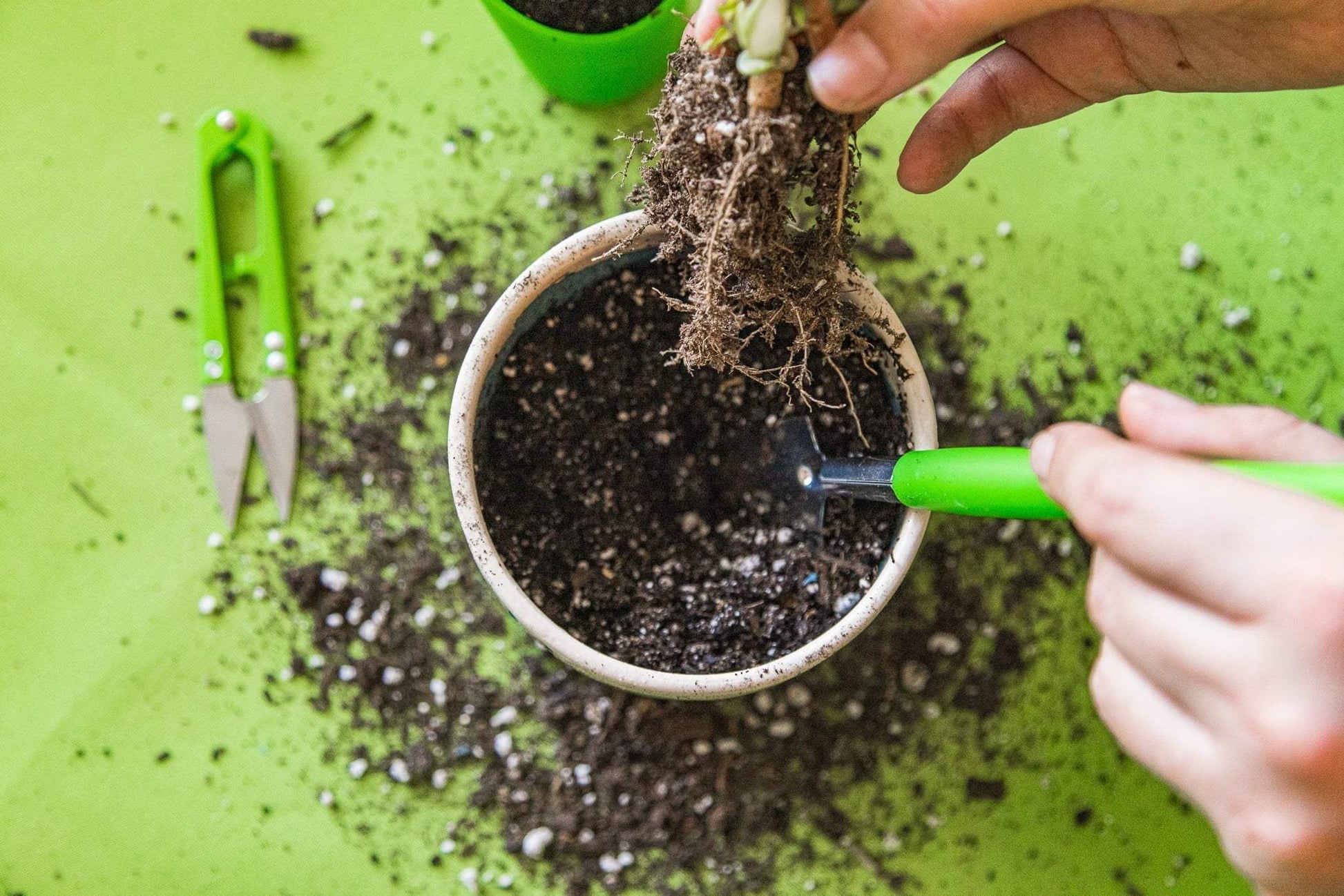 Gardening Set | 14 - Piece Stainless Steel Tool Set for Indoor Plants! - homecomforts