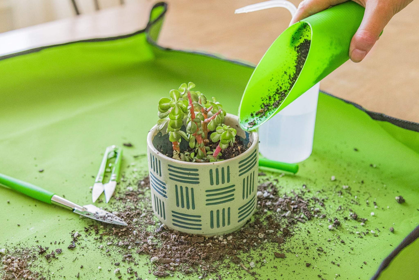 Gardening Set | 14 - Piece Stainless Steel Tool Set for Indoor Plants! - homecomforts